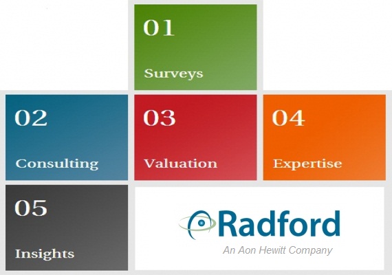 Radford Job Level Chart
