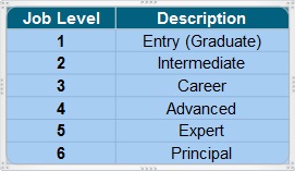 Radford Job Level Chart