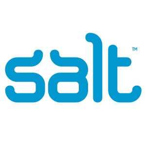 salt logo