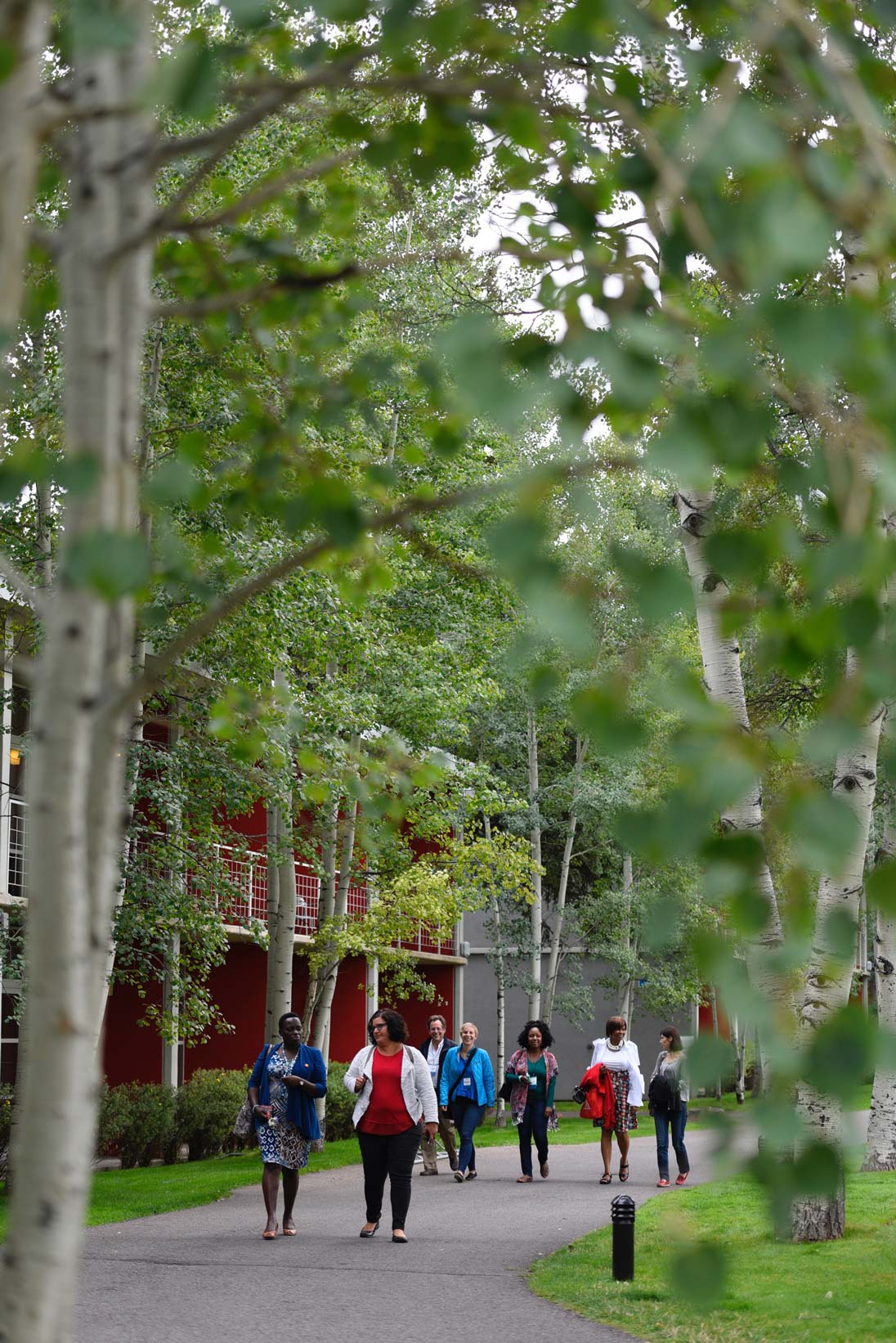 American Express Fellows at the Aspen Institute. (Photo Credit: Dan Bayer)